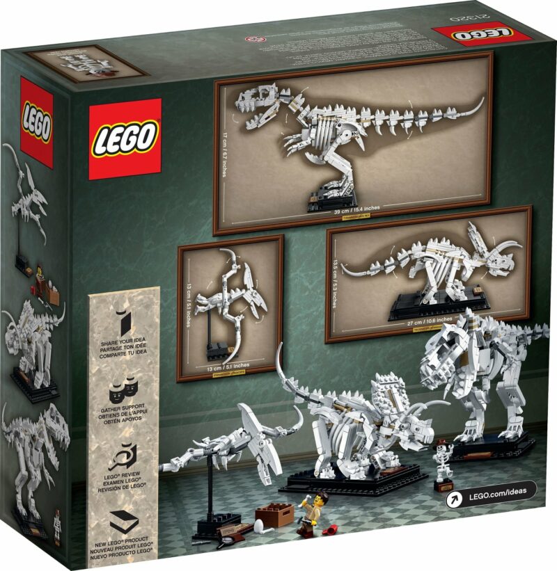 Les fossiles de dinosaures (21320) Toys Puissance 3