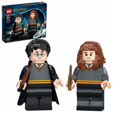 Harry Potter™ et Hermione Granger™ (76393)