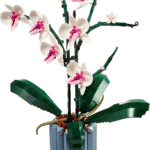 L’orchidée (10311)