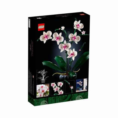 L’orchidée (10311)