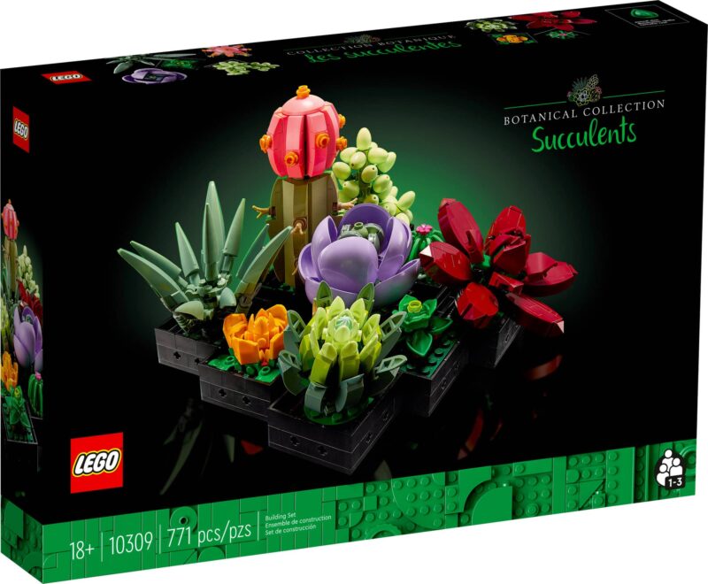 Les succulentes (10309) Toys Puissance 3