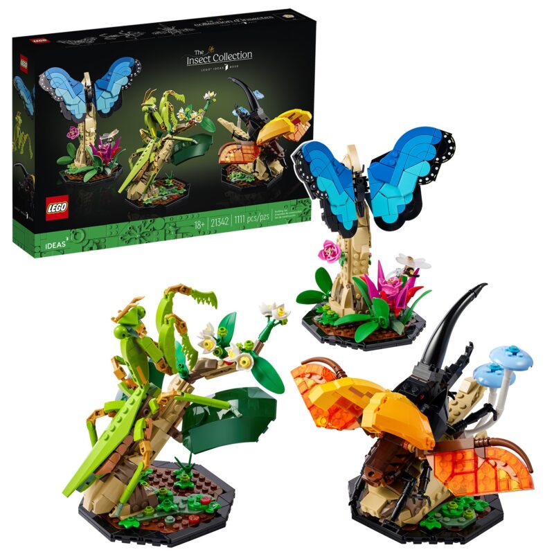 La collection d’insectes (21342) Toys Puissance 3