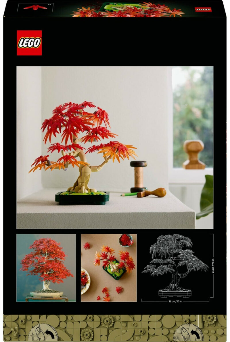 Bonsaï d’érable rouge du Japon (10348) Toys Puissance 3