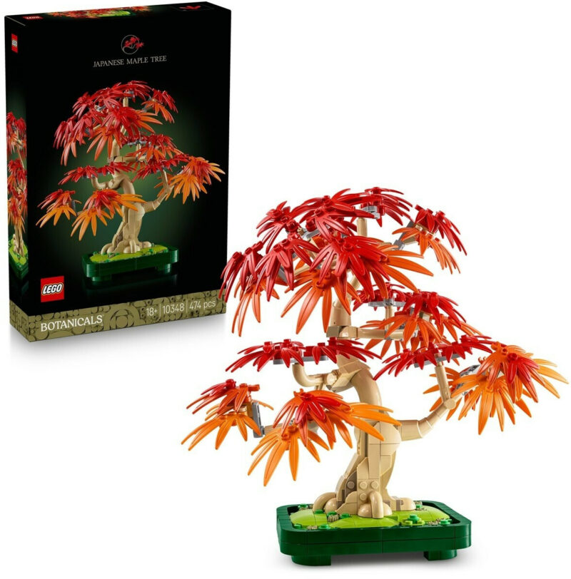 Bonsaï d’érable rouge du Japon (10348) Toys Puissance 3