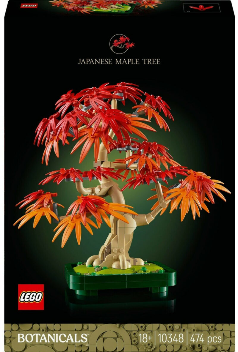 Bonsaï d’érable rouge du Japon (10348) Toys Puissance 3