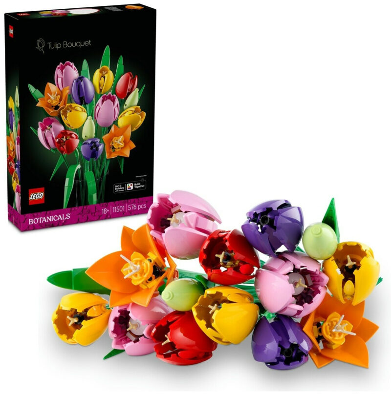 Le bouquet de tulipes (11501)